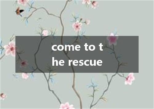 come to the rescue是什么意思