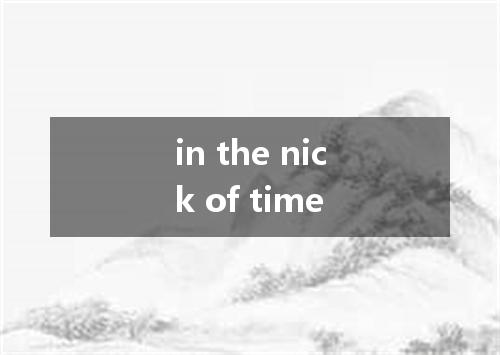 in the nick of time是什么意思