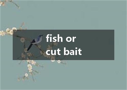 fish or cut bait是什么意思