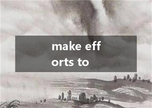 make efforts to是什么意思