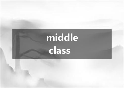 middle class是什么意思