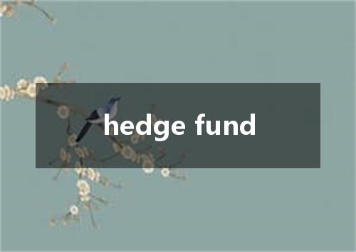 hedge fund是什么意思