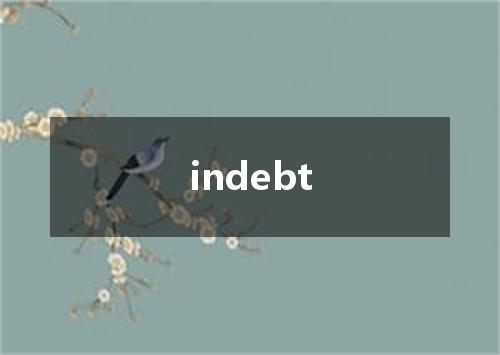 indebt是什么意思