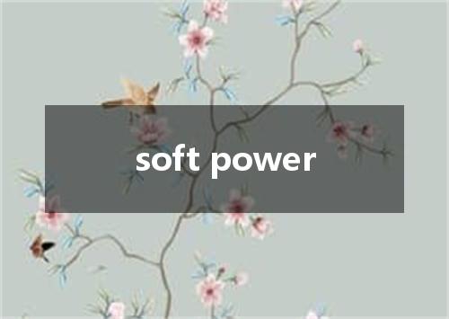 soft power是什么意思