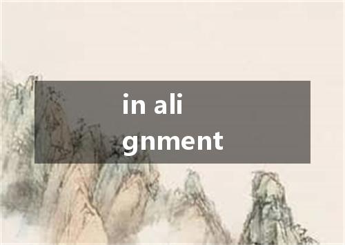 in alignment是什么意思