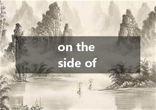 on the side of是什么意思