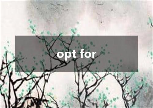 opt for是什么意思