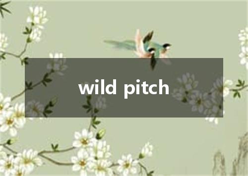 wild pitch是什么意思