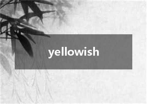yellowish是什么意思