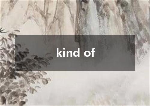 kind of是什么意思