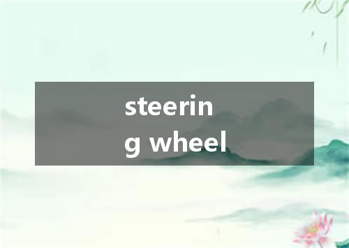 steering wheel是什么意思