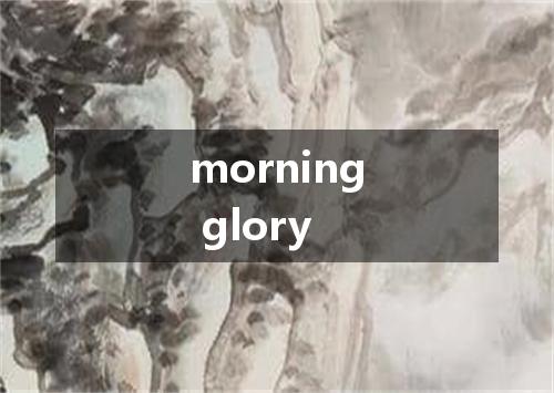 morning glory是什么意思