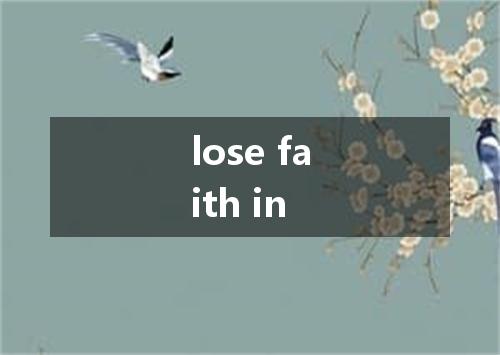 lose faith in是什么意思