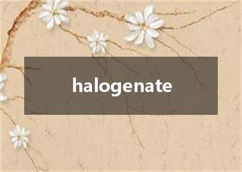 halogenate是什么意思