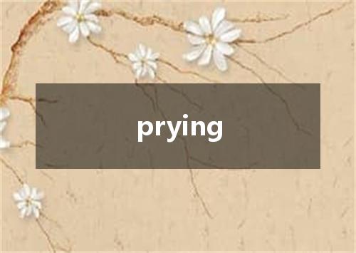 prying是什么意思