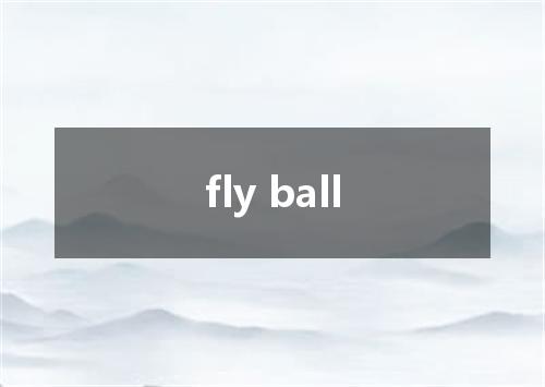 fly ball是什么意思