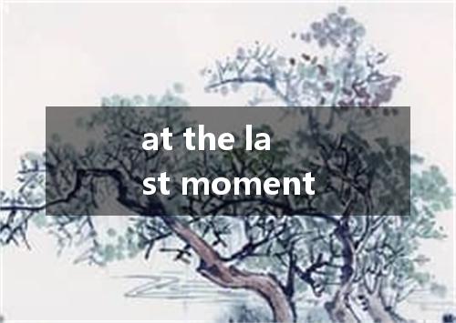 at the last moment是什么意思