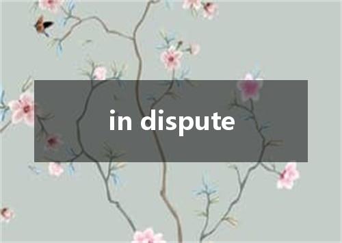 in dispute是什么意思