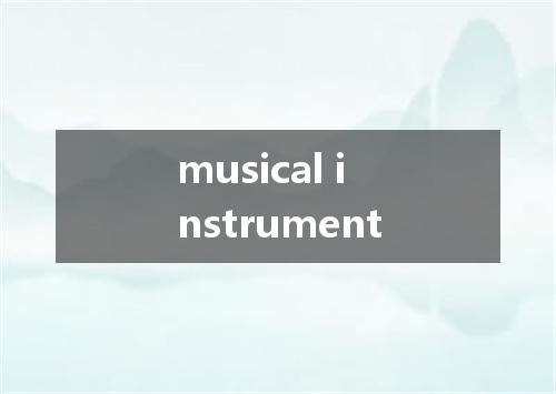 musical instrument是什么意思