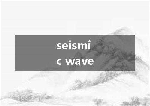 seismic wave是什么意思