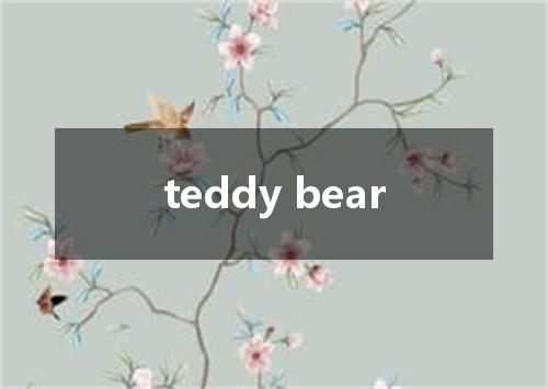 teddy bear是什么意思