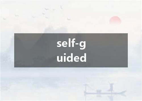 self-guided是什么意思
