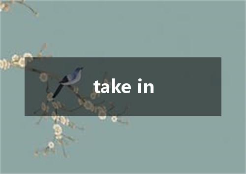 take in是什么意思