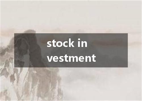 stock investment是什么意思
