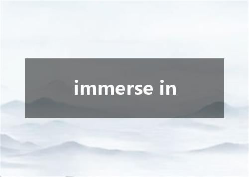 immerse in是什么意思
