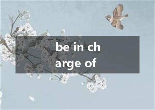 be in charge of是什么意思