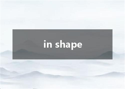 in shape是什么意思