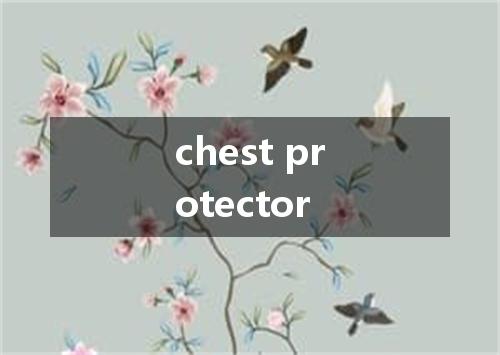 chest protector是什么意思