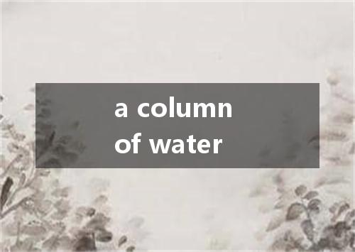 a column of water是什么意思