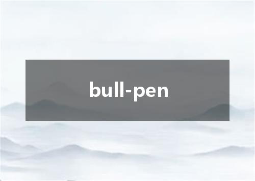 bull-pen是什么意思