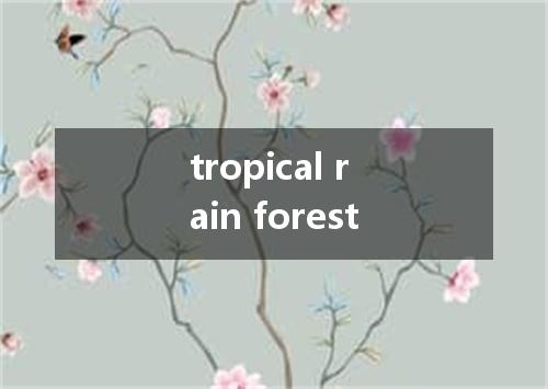tropical rain forest是什么意思