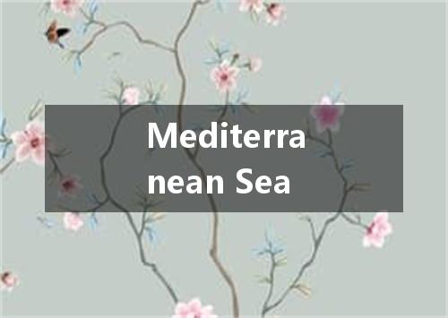 Mediterranean Sea是什么意思