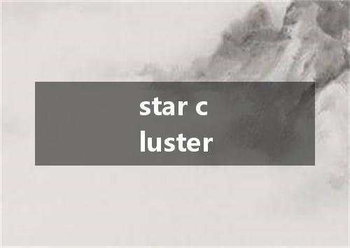star cluster是什么意思