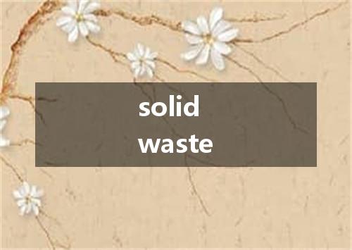solid waste是什么意思