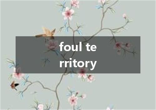 foul territory是什么意思
