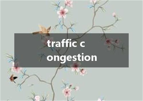 traffic congestion是什么意思