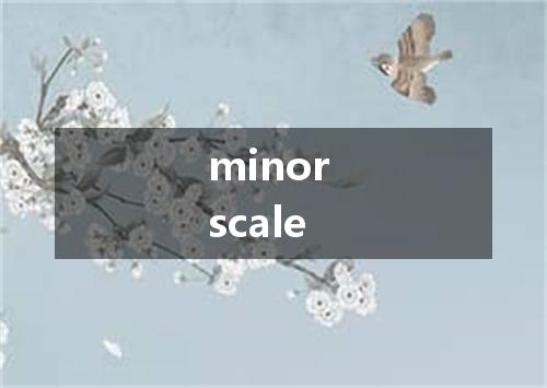 minor scale是什么意思
