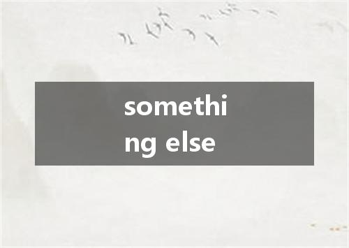 something else是什么意思