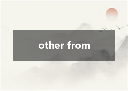 other from是什么意思