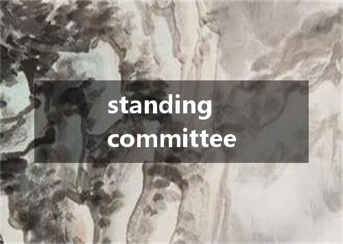 standing committee是什么意思