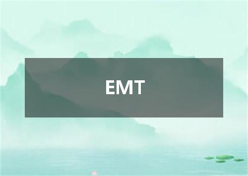 EMT是什么意思