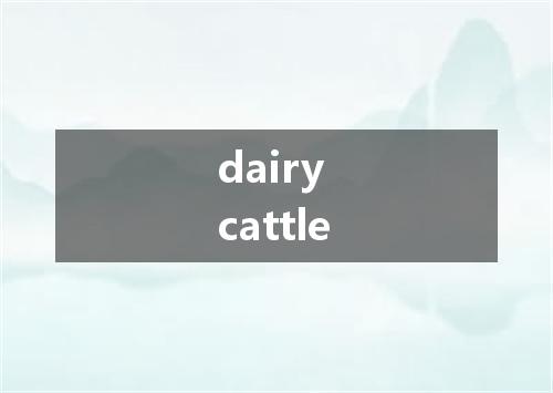 dairy cattle是什么意思