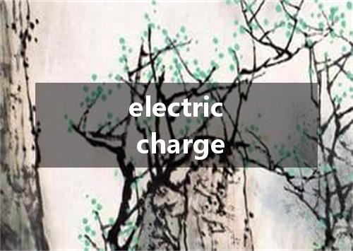 electric charge是什么意思