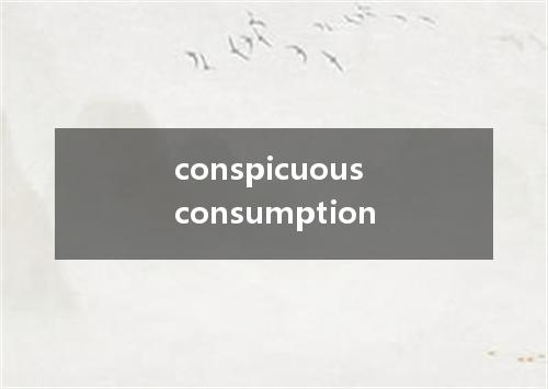 conspicuous consumption是什么意思