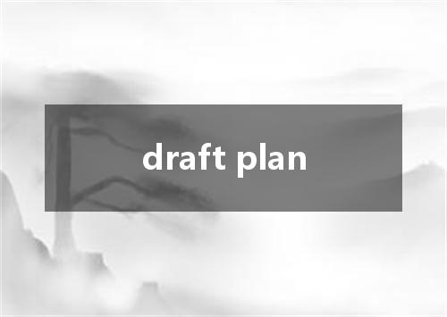 draft plan是什么意思