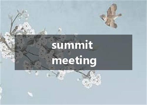 summit meeting是什么意思